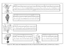 Frühlingsblüher-nachspuren-punktliniert.pdf